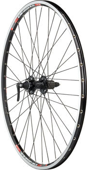 DT Swiss X 1900 Spline 25 Rear Wheel - 29", 12 x 148mm, Center-Lock, Micro Spline, Black